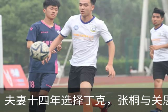 夫妻十四年选择丁克，张桐与关思婷的四合院生活揭秘