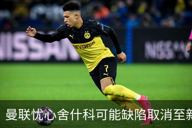 曼联忧心舍什科可能缺陷取消至新年，冬季转会需考虑引入前锋