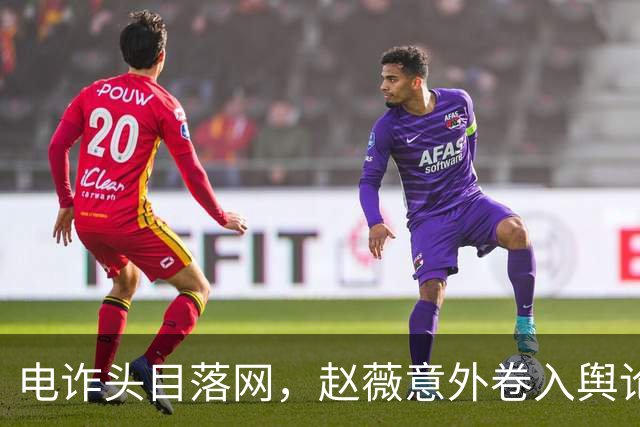 电诈头目落网，赵薇意外卷入舆论漩涡，真相扑朔迷离